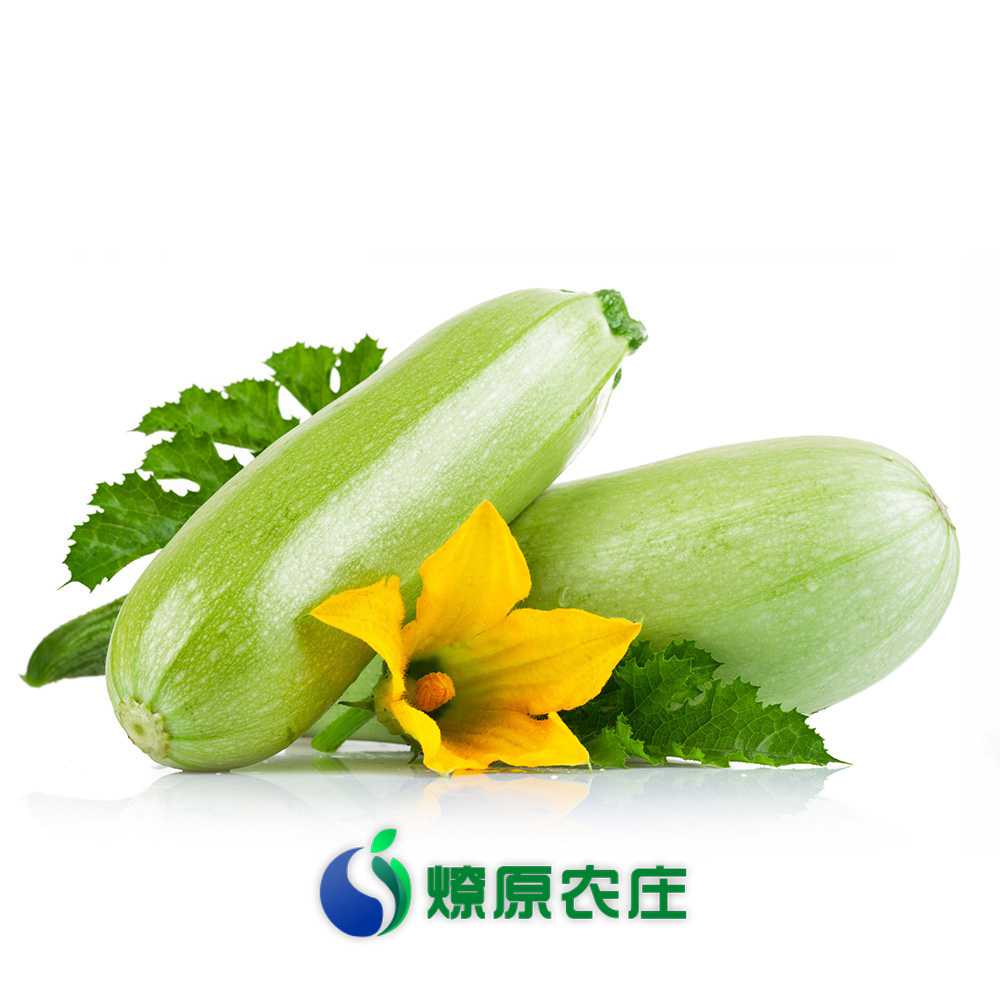 蔬菜名称：
			      【燎原特惠】西葫芦 茭瓜 绿色种植绿色无公害蔬菜新鲜青菜顺丰